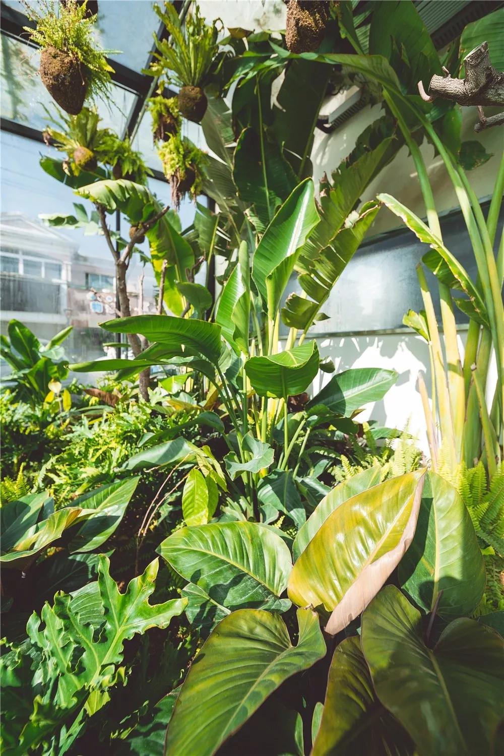 探秘！10000㎡打造世界烘焙商业新物种！！！（系列一）