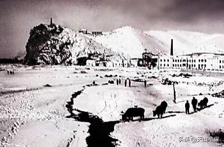 上榜啦！*疆新**鸟市和石市即将被国家命名！未来发展不可估量