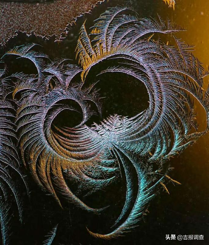 玻璃窗上的霜花像什么,玻璃上的霜花是什么样子