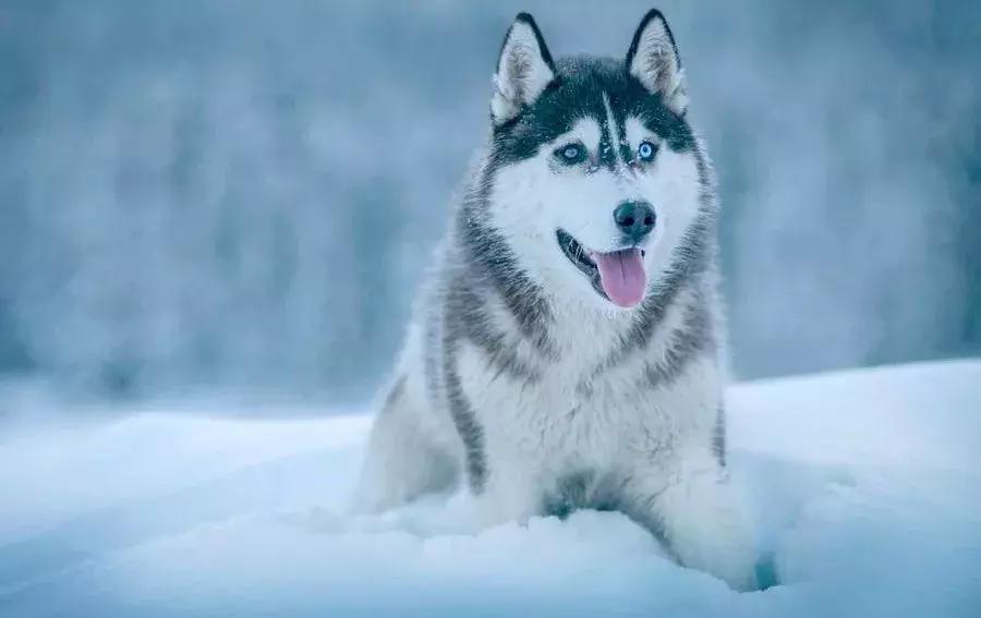 感冒头痛流眼泪流鼻涕该吃什么药,感冒流鼻涕头痛喉咙痛吃什么药