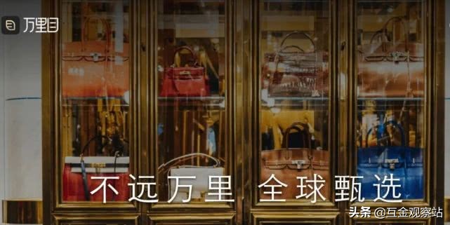 罗敏奢侈品代言,罗敏创业过程