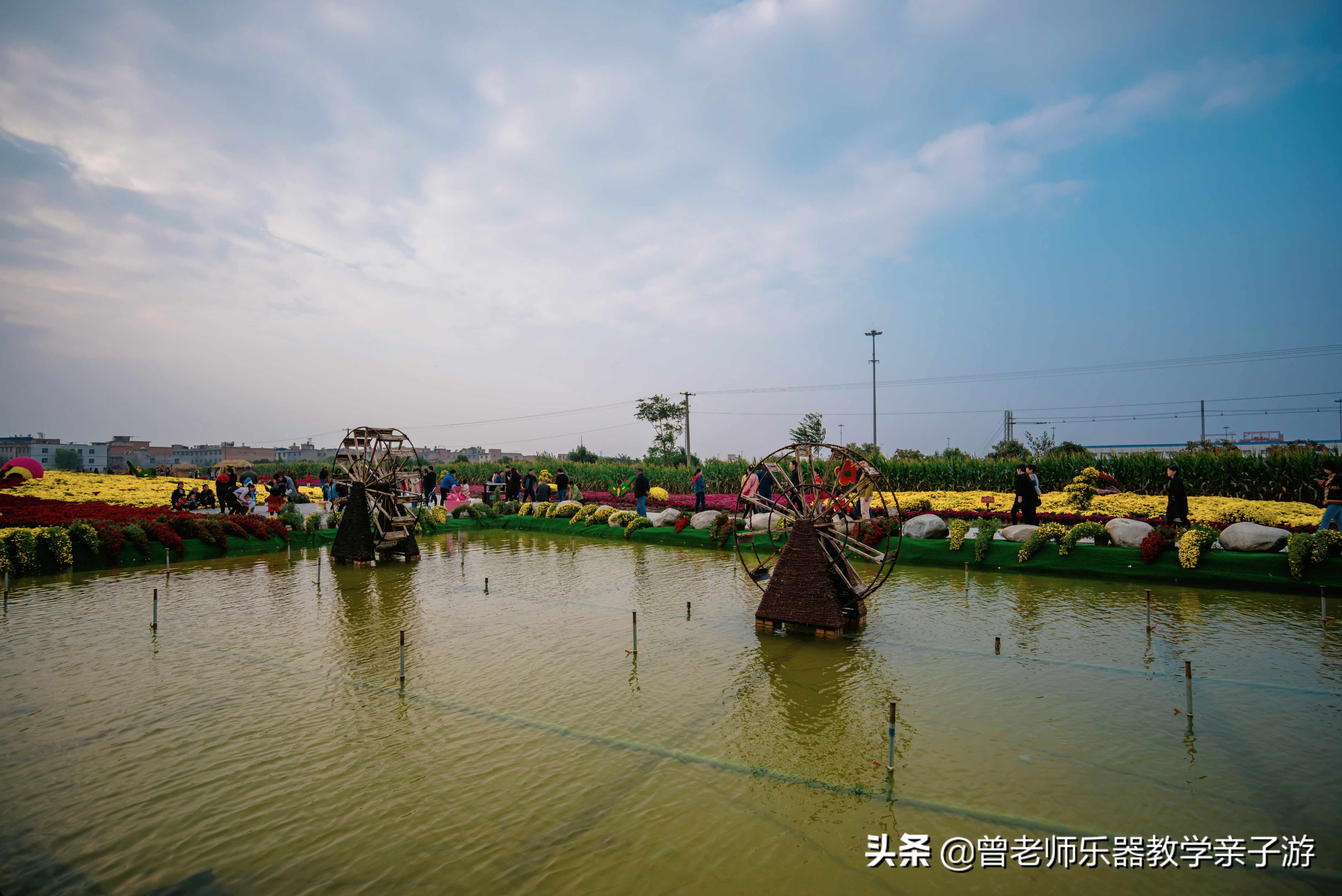 爱菊研学游,爱菊丝路文化菊花园西安