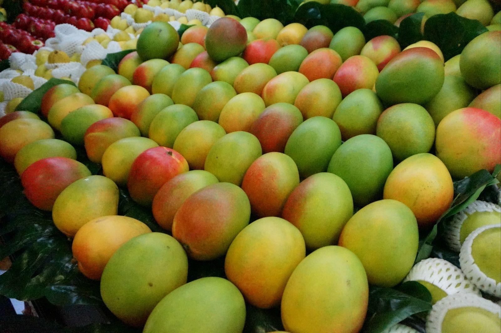 贵妃芒大青芒金煌芒选哪个,小台农芒果和贵妃芒哪个更好吃