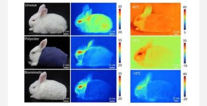 流浪地球地球为什么要流浪,流浪地球中杭州地下城为什么毁灭