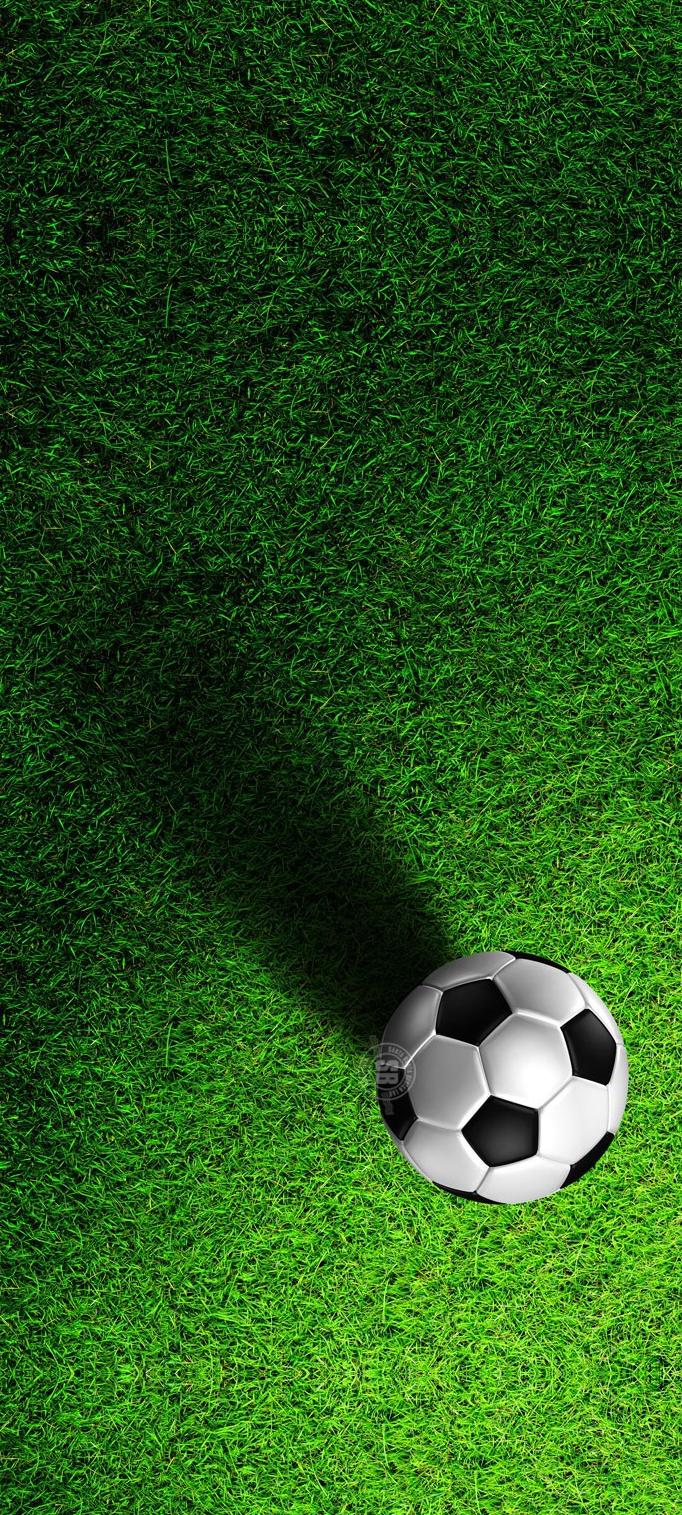 足球绿茵场高清壁纸,夏日绿茵场
