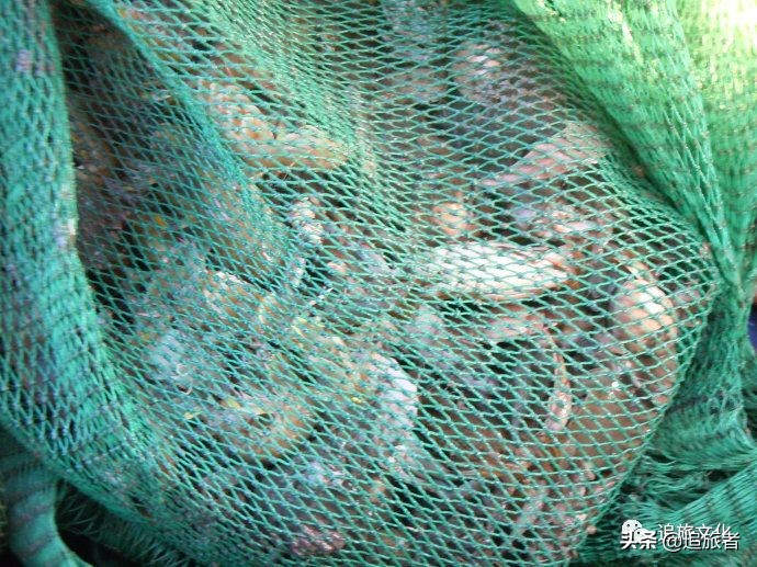 简单趣味沙滩团建,适合海边玩的拓展团建游戏