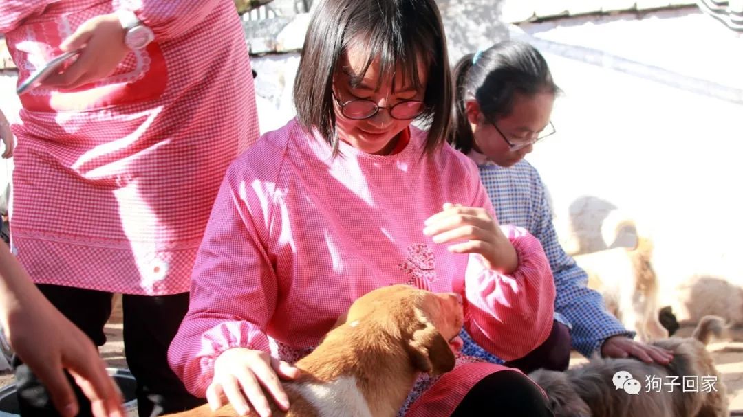 每一个生命都需要被尊重和善待,每一个生命都要被尊重被温暖