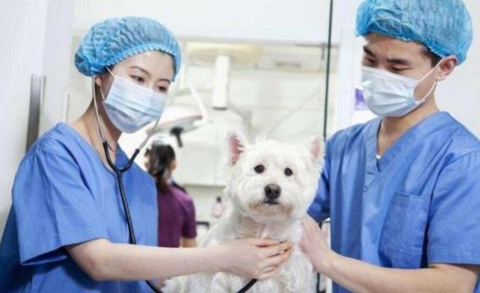 大学院校目前最有前景的专业,冷门有前途的大学专业