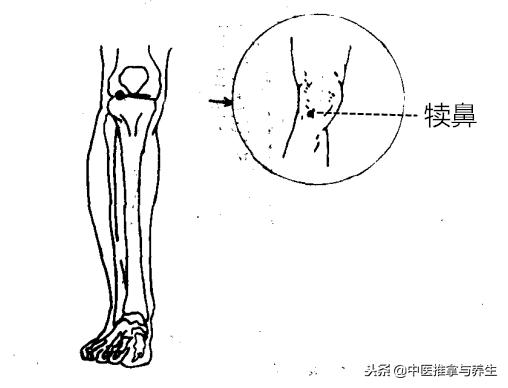 膝盖风湿关节痛推拿哪个穴位,膝盖疼痛风湿关节炎穴位治疗法