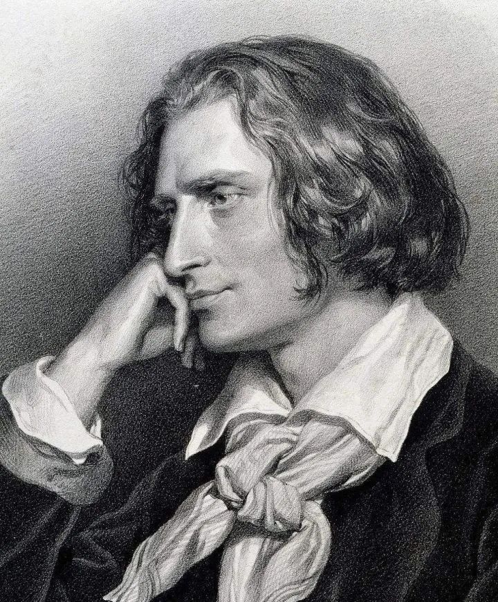 钢琴之王李斯特的歌曲,钢琴之王李斯特动画介绍