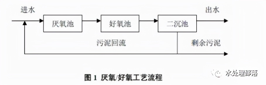 一文读懂硝化反硝化