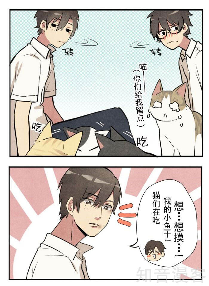 猫和铲屎官的日常生活漫画,猫和铲屎官的日常漫画