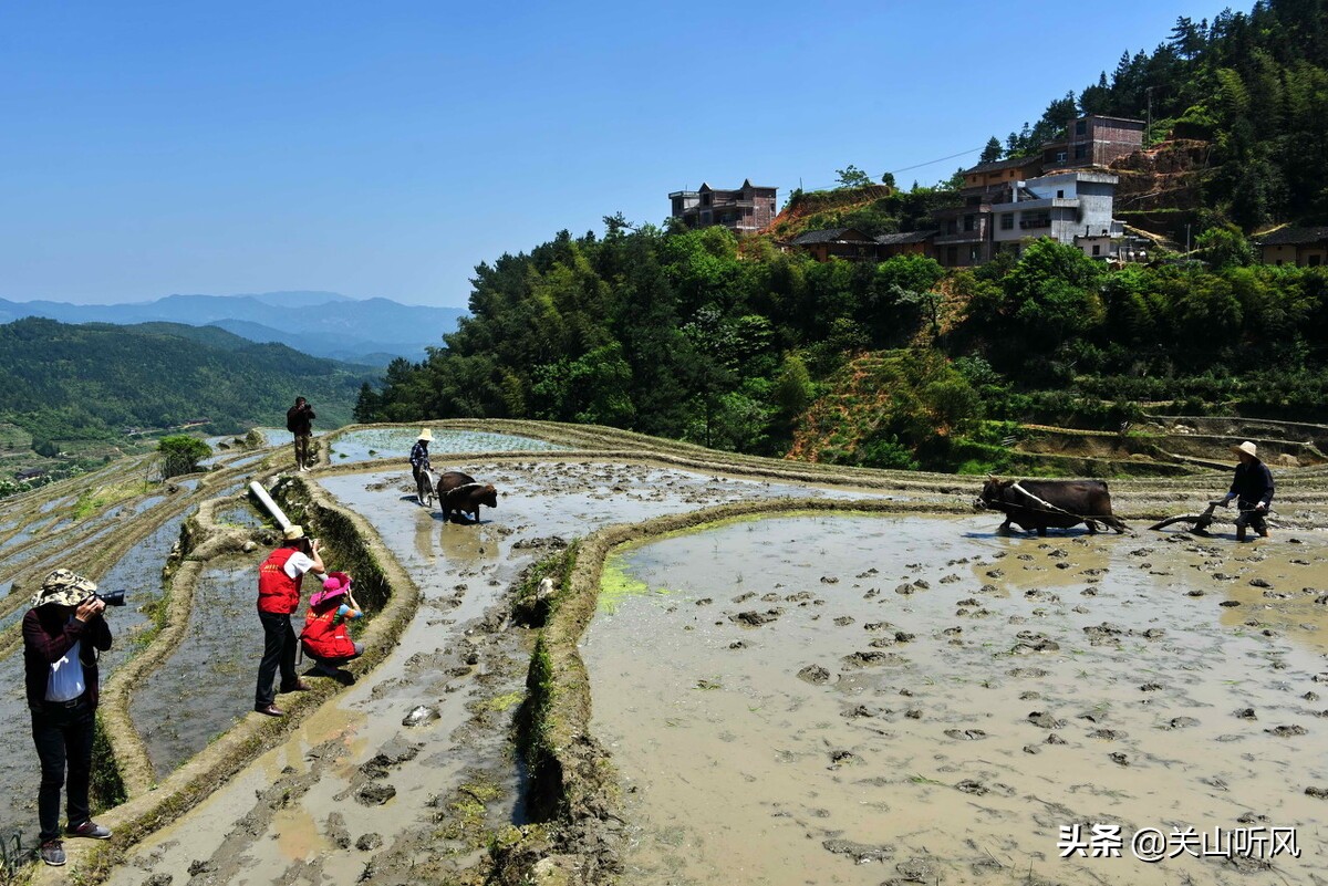 屋后有靠山旺人丁,屋后有靠指的什么