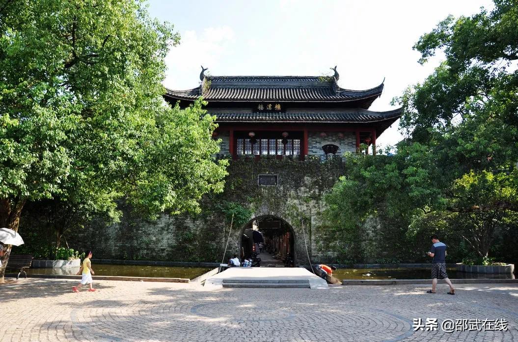 征文绿色无毒健康人生,征文绿色生活