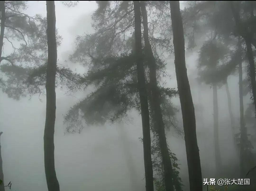 云南哀牢山地质人员遇难,云南哀牢山遇难人员死因最新分析