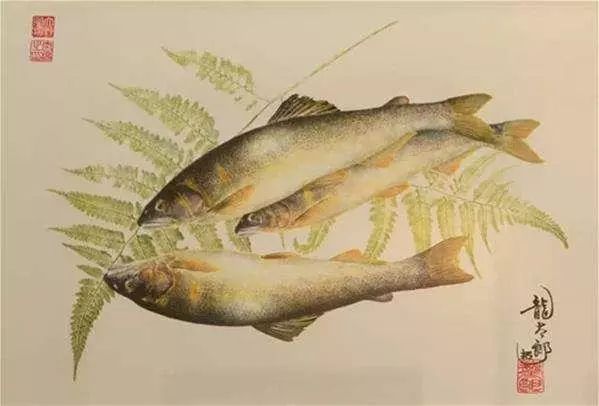 他买了一条草鱼，直接印在画纸上，专家大赞：好画，鱼活了