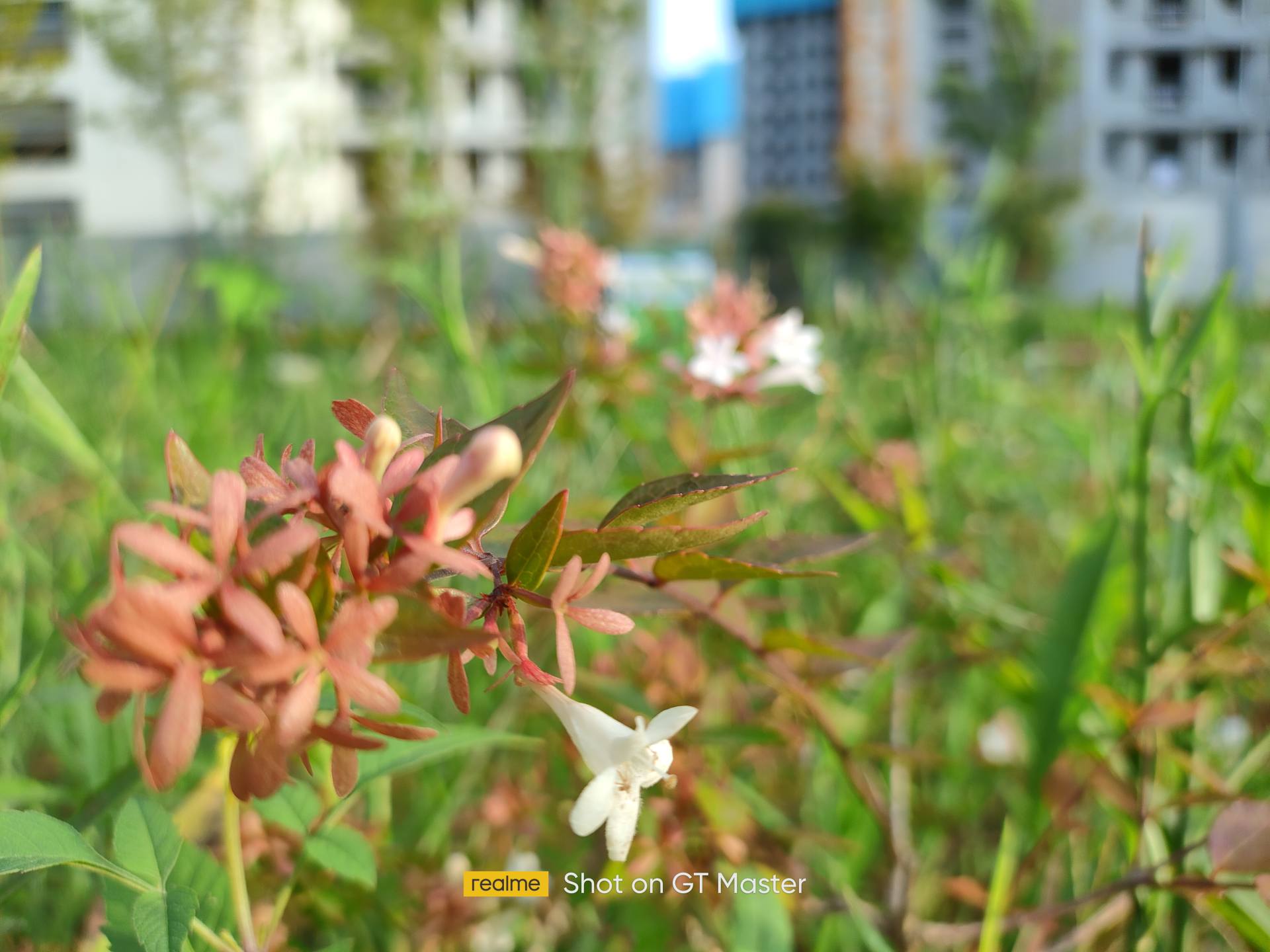 2000元买真我gt顶配合适吗,2000左右性价比高的realme手机