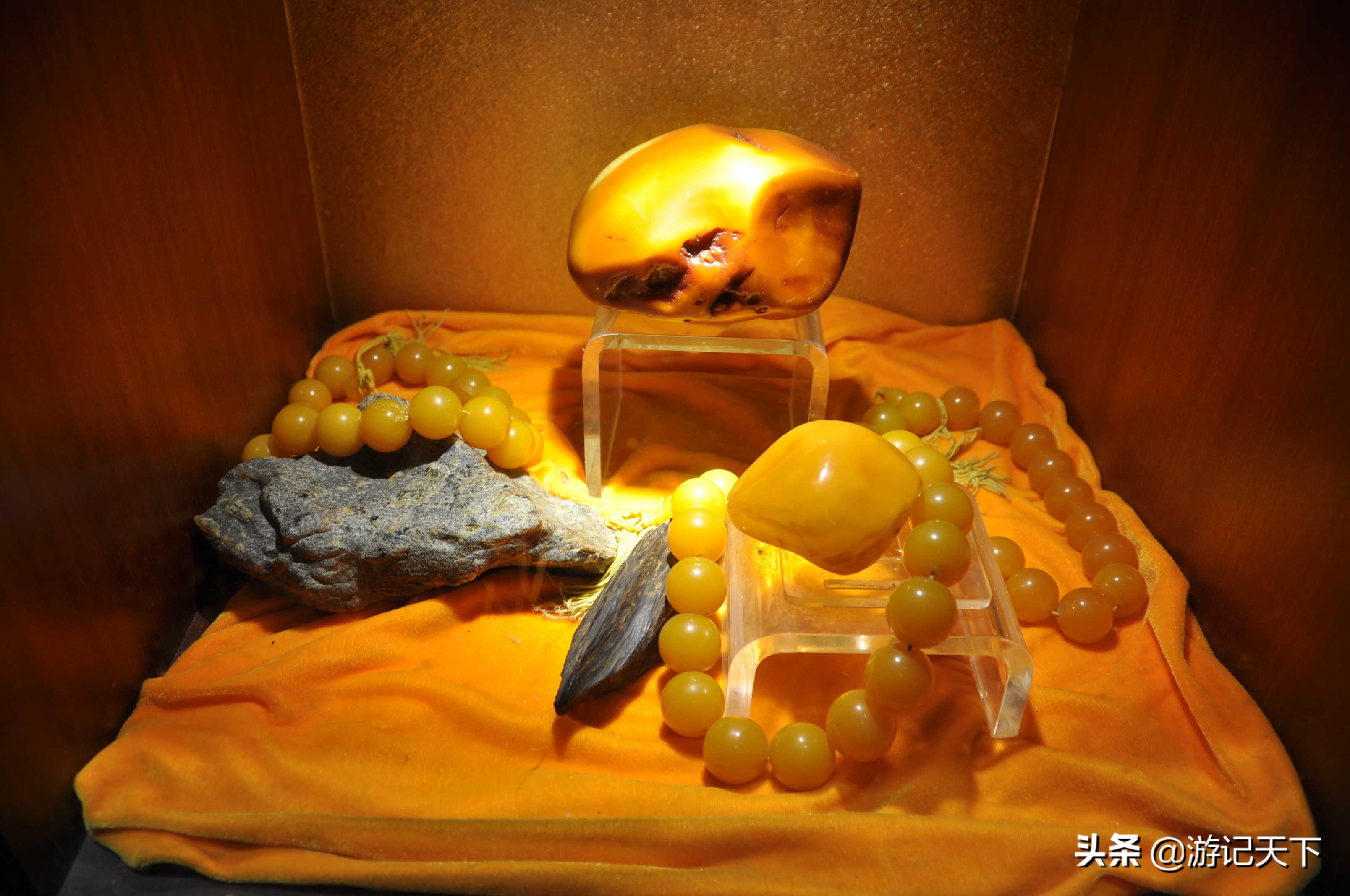 阿尼亚参观博物馆,上海地质科普馆游玩