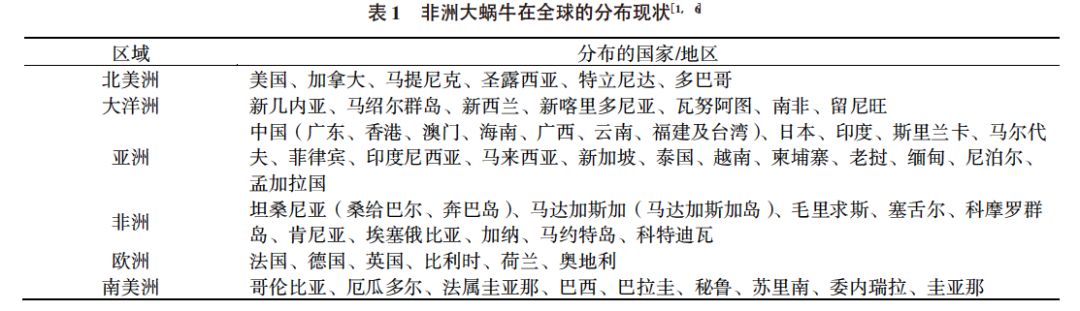 什么蜗牛可以吃而且做得也好吃呢,中国吃货不敢吃的蜗牛