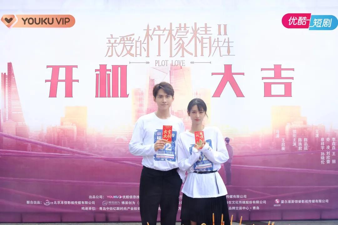 亲爱的柠檬精先生2开播时间,亲爱的柠檬精先生电视连续剧