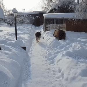第一次看到把抖m说的这么清新脱俗的...实在太形象了哈哈哈哈哈!