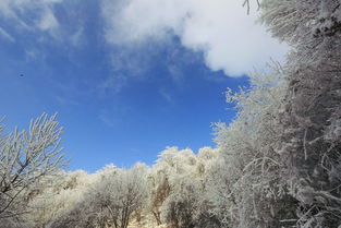 古诗中东风西风北风南风的意象,北风在古诗中的意象