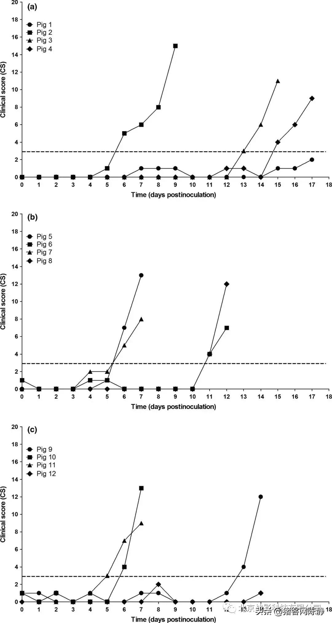 警惕！苍蝇等吸血害虫可能会传播非洲猪瘟病毒