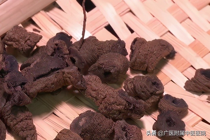 腰酸风湿怎么治疗,寒湿腰痛的最佳食疗