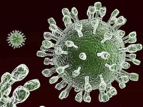 开学季学生感染如何防治,全班感染