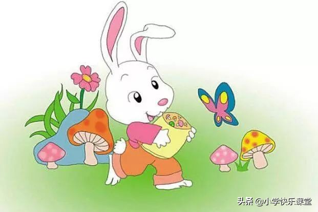 看图写话小白兔遇到什么困难,小白兔看图写话的故事怎么写
