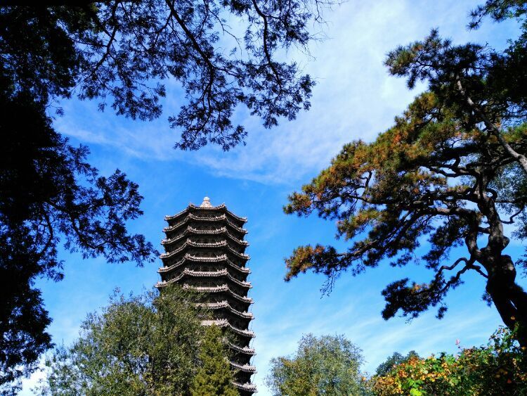 漫步北大校园,北大印象图片