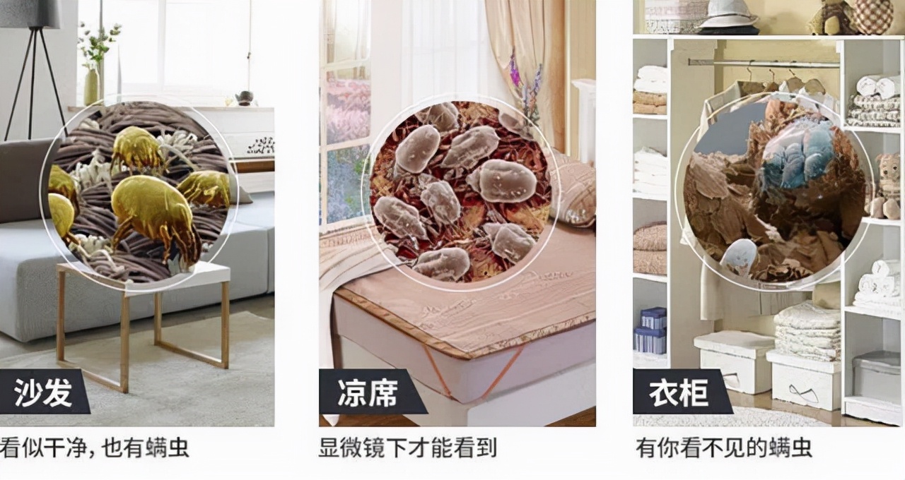 智能挂烫机品牌排行榜,全自动挂烫机测评哪个好用