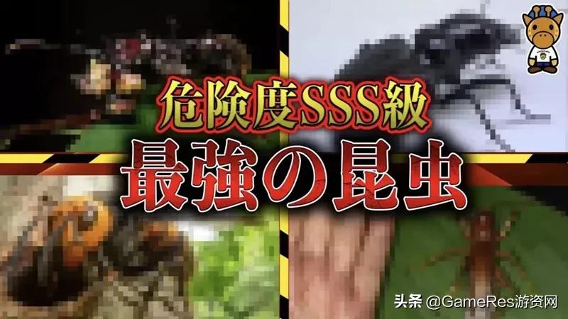 《小小蚁国》跻身8月出海收入榜，题材创新“卷”向动物领域？