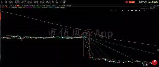 金洲慈航：不一样的A股病人，一样的财务造假