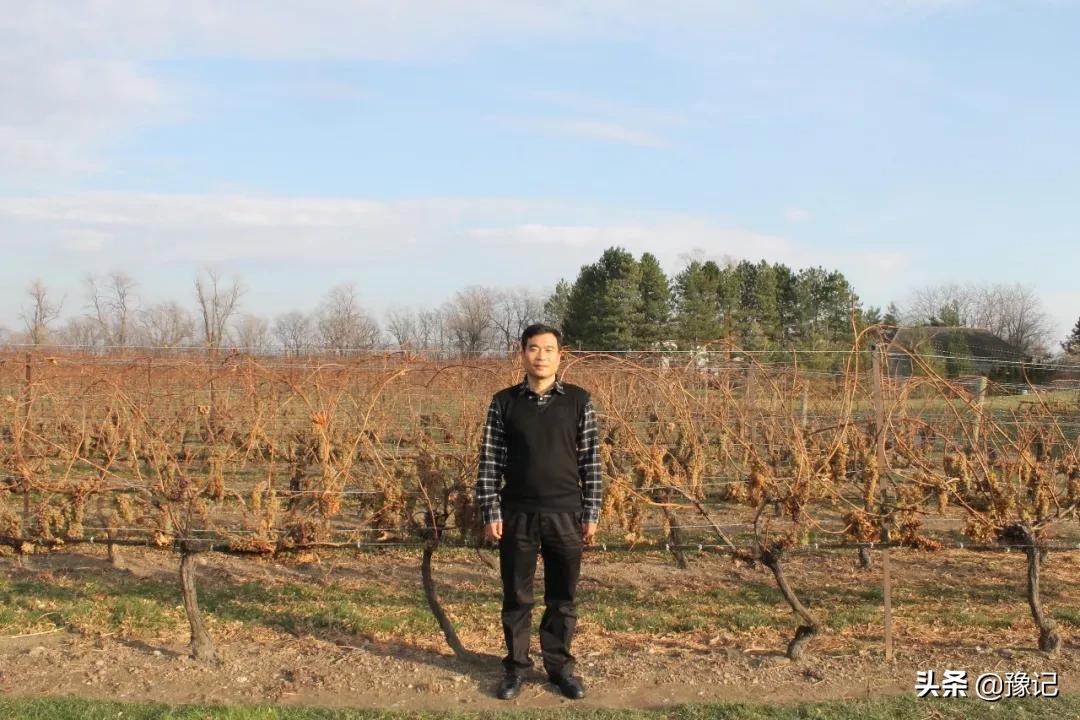 民权不能办房产证的小区,民权不让骑三轮车四轮车了吗