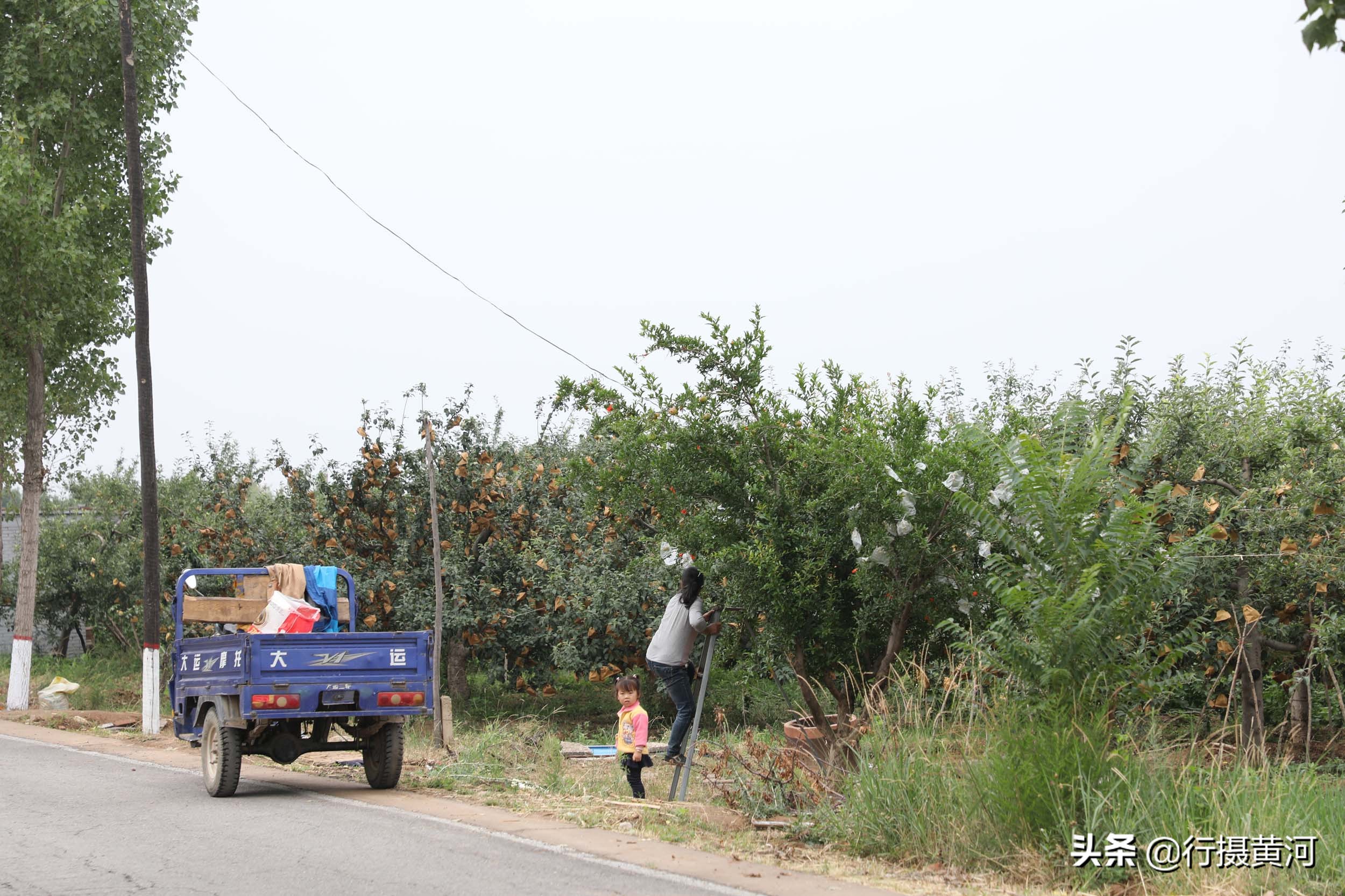 儿子娶个广东媳妇，生个女孩送回山西，看农村奶奶把孙女养成啥样