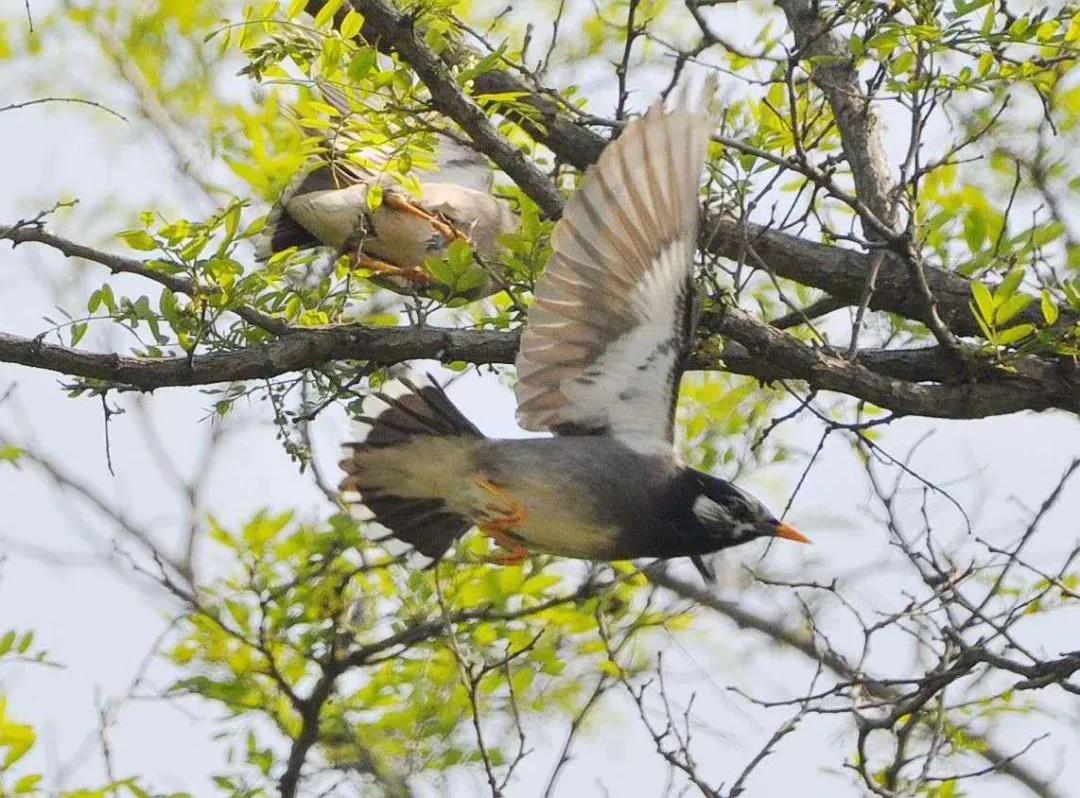 涔濆ぉ璇楄瘝绗崄鍏湡,涔濆ぉ璇楄瘝绗簩鍗佹湡