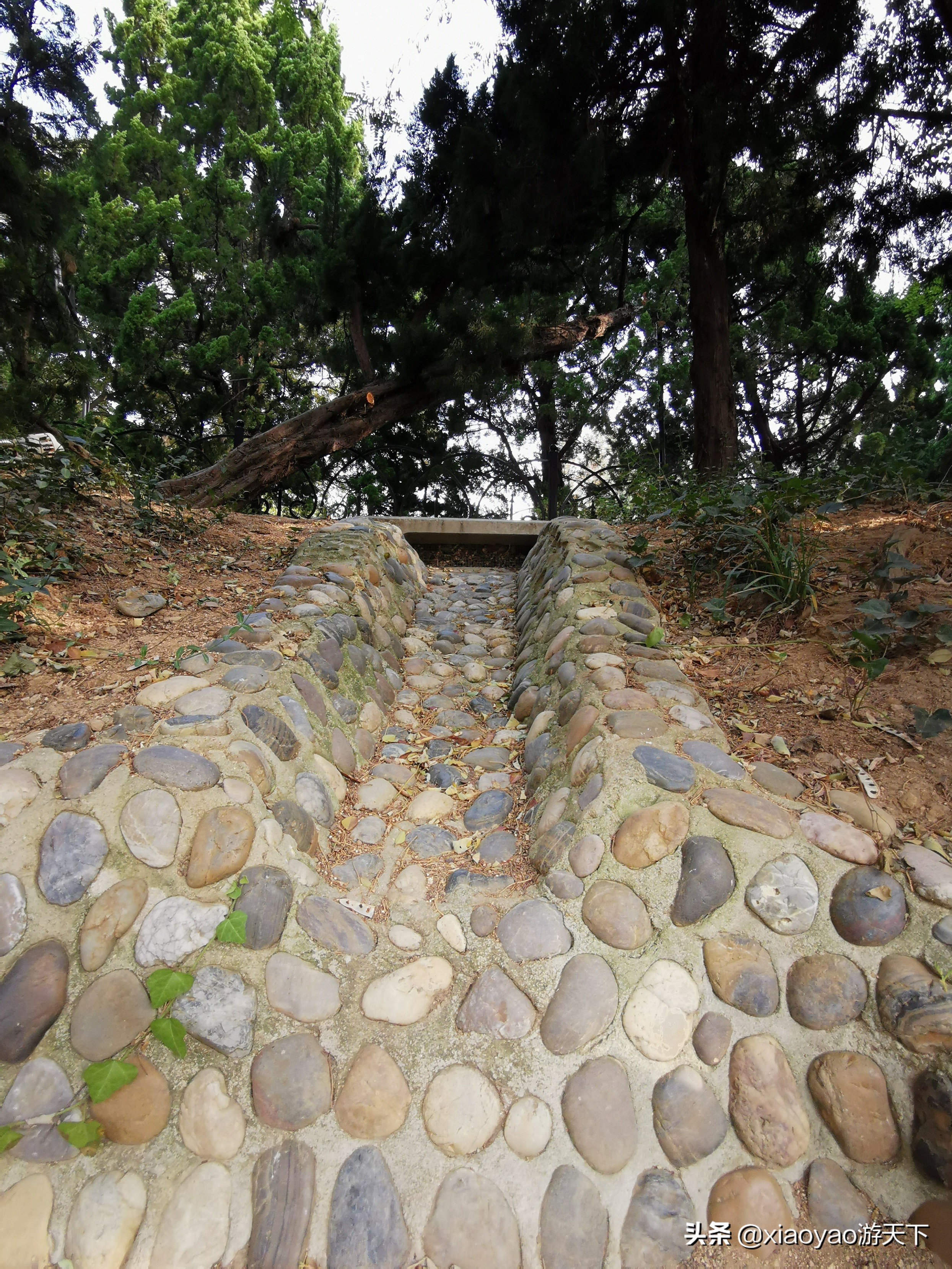 青岛八大关将军楼,青岛八大关风景区