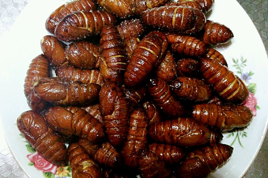 炒蚕蛹怎么做好吃又简单,炒大蚕蛹怎么酥脆好吃