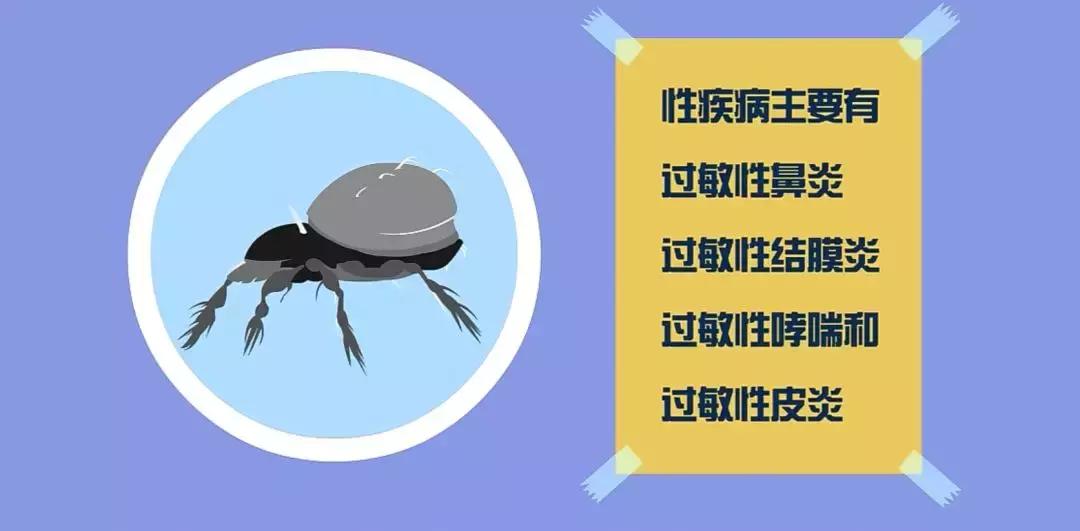 脸部吸螨虫神器真的有效果吗,脸部怎么除螨喷雾好用