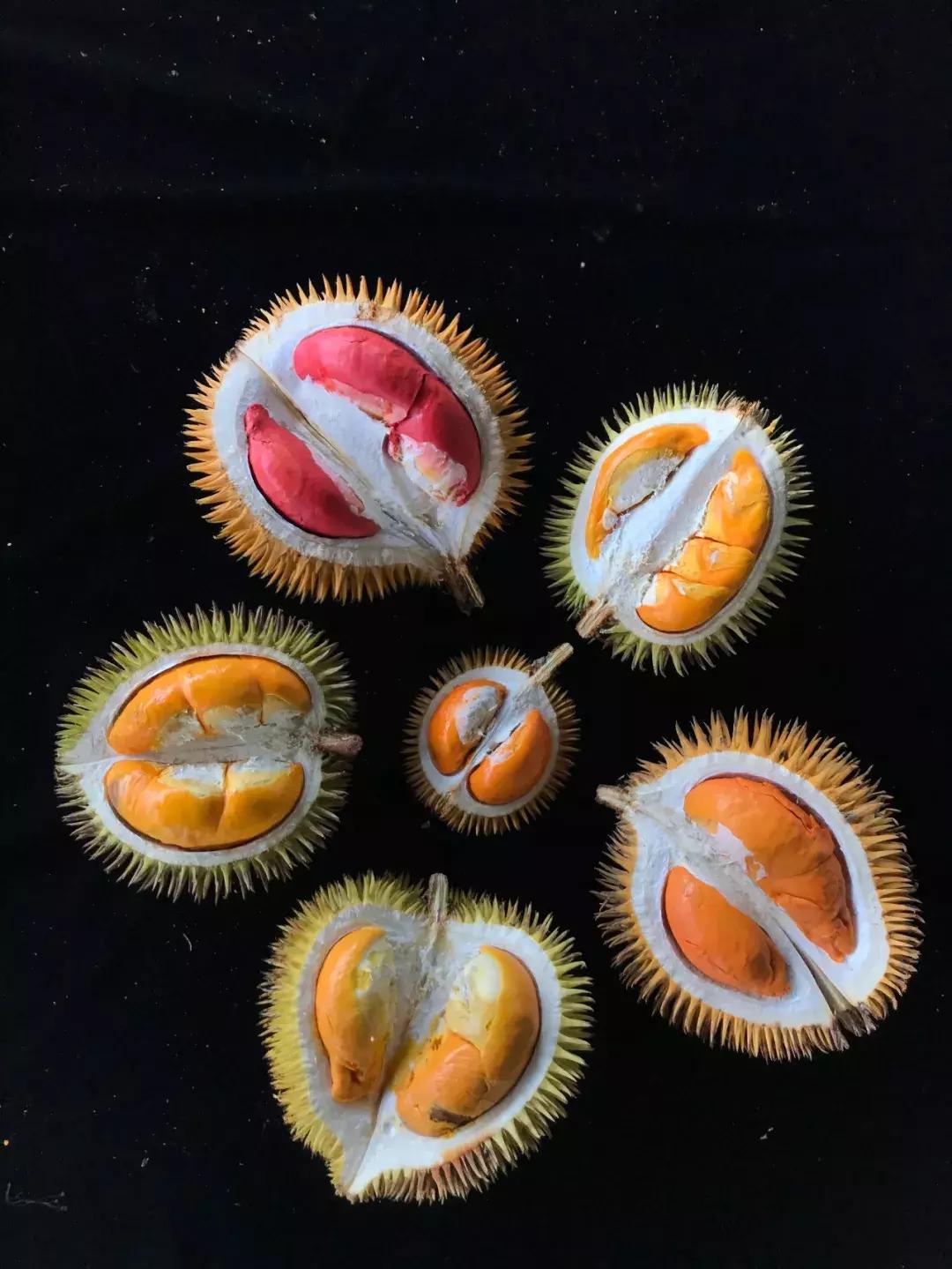 他的工作是厨师的英文,他的工作是什么英文句子