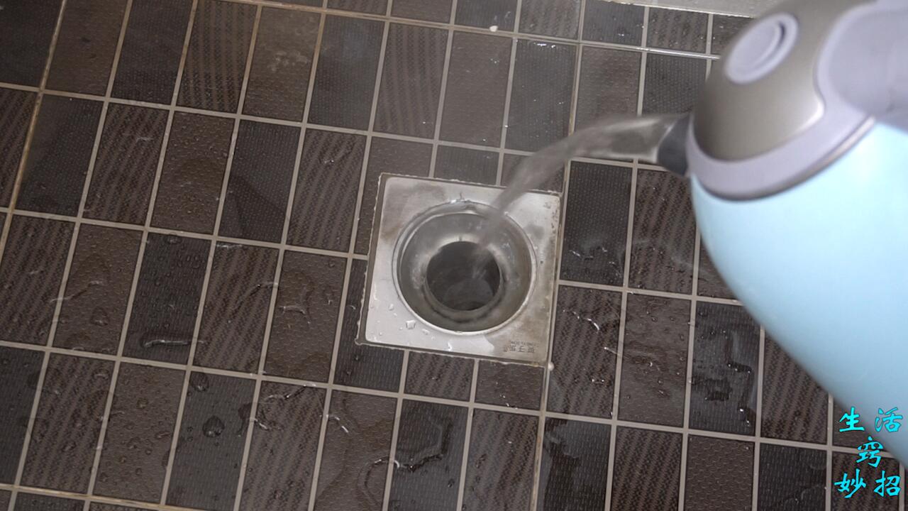 天气一热厕所出现的小飞虫是什么,卫生间小飞虫找不到原因