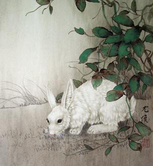 十二生肖是怎么排序的视频,十二生肖到底是怎么排序的