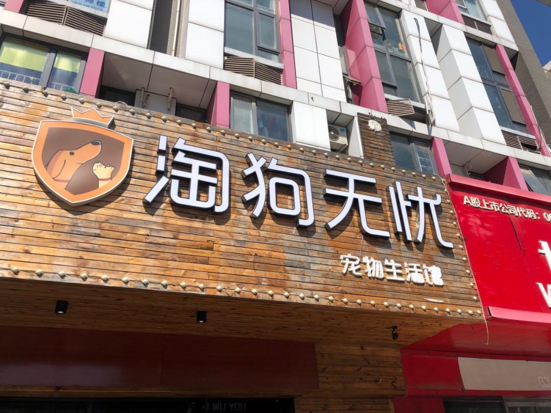 北京宠物店月流水,北京开宠物猫店渠道有哪些
