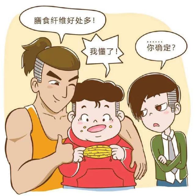 膳食纤维的主要生理功能及缺点,膳食纤维的主要特征是什么作用呢