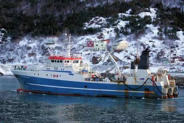 想在开心的日子里,用北极贝款待没心没肺的自己