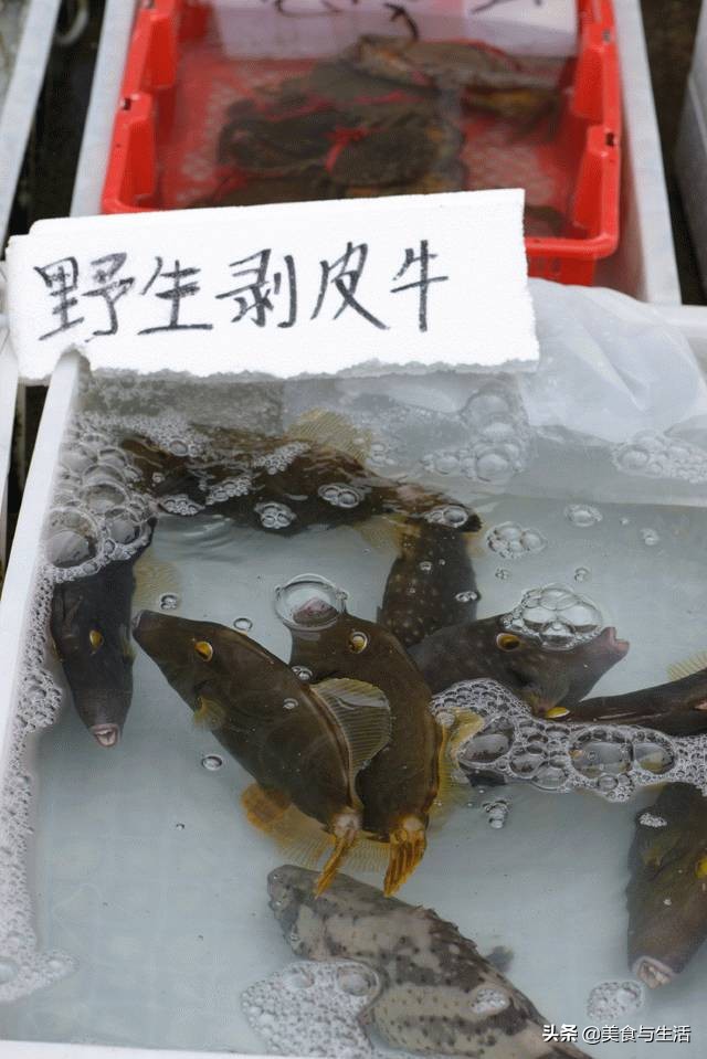 国内有名的海鲜市场,并不是北京新发地,而是广东黄沙水产市场