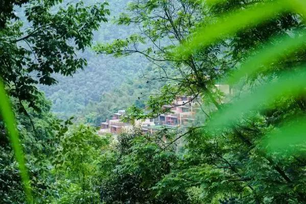 宁海安岚度假酒店,宁海安岚最美的酒店