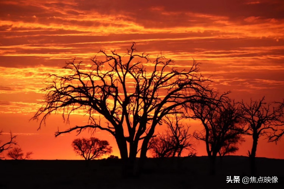 生如夏花绚烂死如落叶精美字体,生如夏花绚烂死如秋叶静美英语