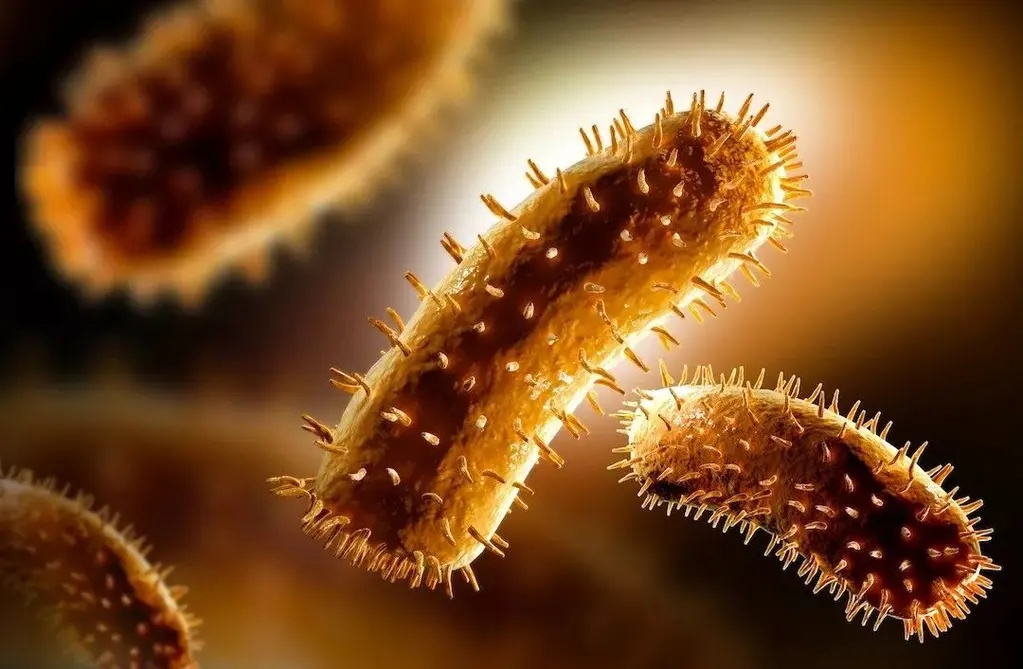 制造丧尸：病毒、*品毒**和寄生虫